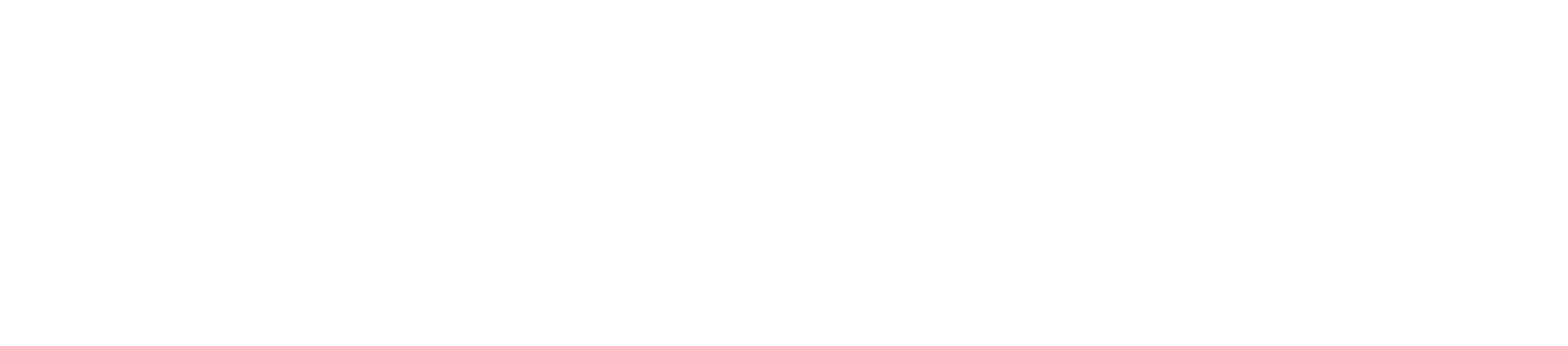 RIPPLER LOGO_white_beskuren